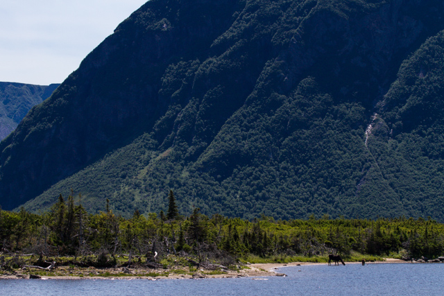 Features of Gros Morne: Highland mountains and low coastal lowlands