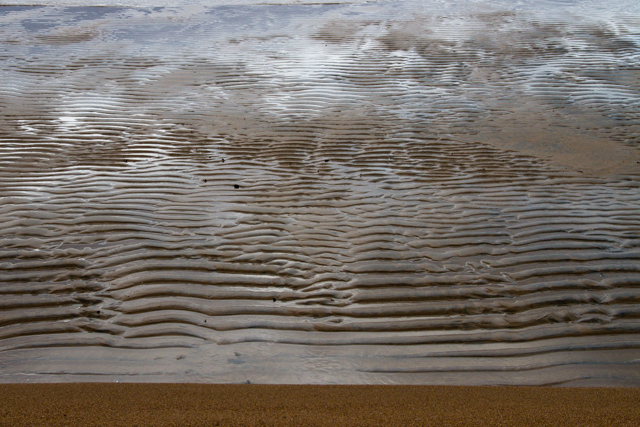 Ripples and light: Pinware Provincial Park