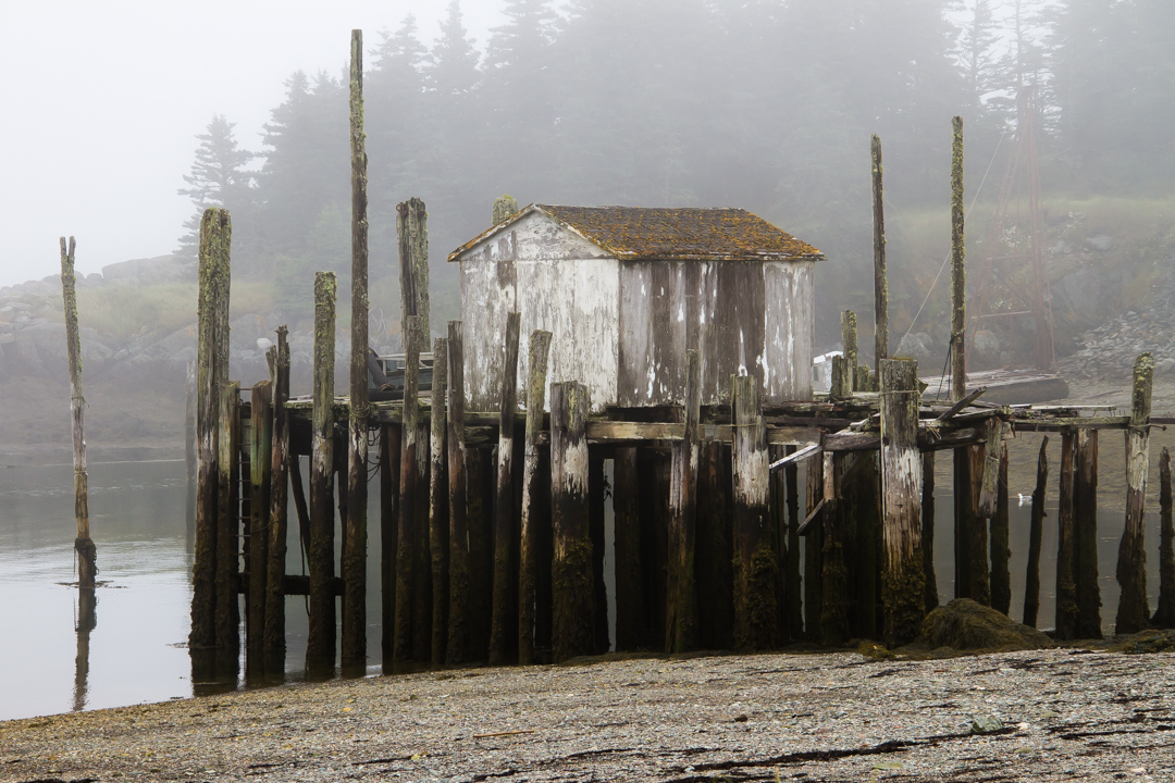 Wharf at low tide